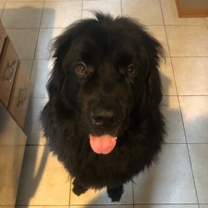 Meet your Posher, Patti